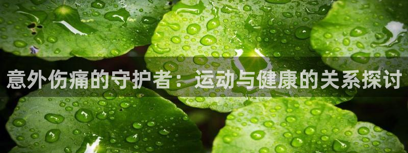 3377体育app官方下载