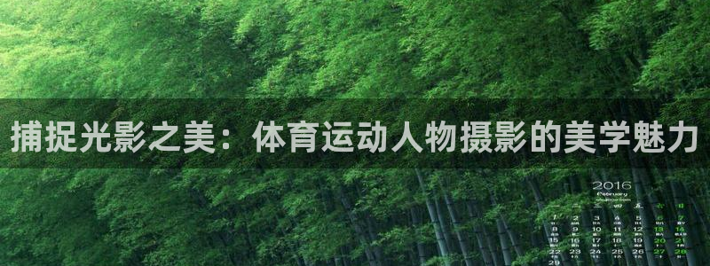 3377体育官网入口下载最新