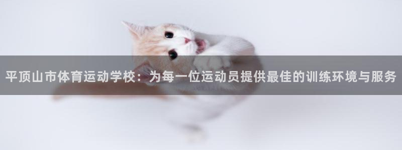 3377体育靠谱吗：平顶山市体育运动学校：为每一位运动员提供最佳的训练环境与服务