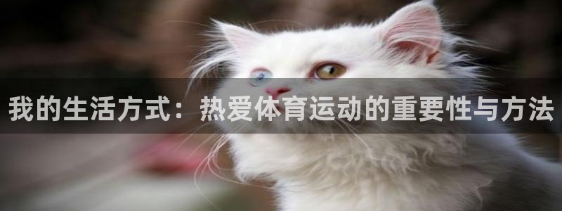 3377体育(中国)官方网站：我的生活方式：热爱体育运动的重要性与方法
