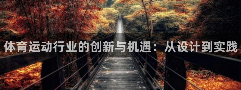3377体育在线登录官网入口：体育运动行业的创新与机遇：从设计到实践