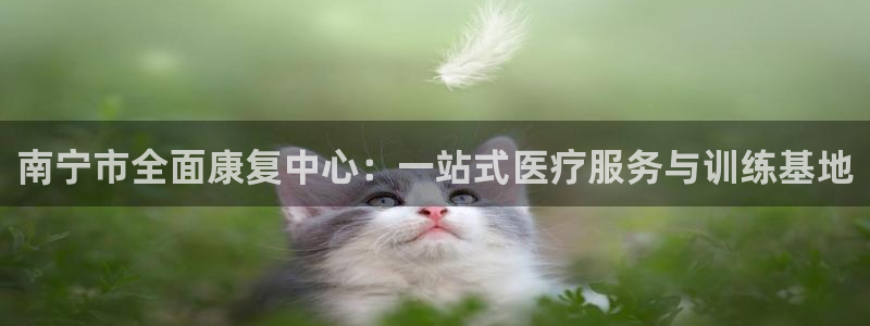 3377体育中国官方网站入口：南宁市全面康复中心：一站式医疗服务与训练基地