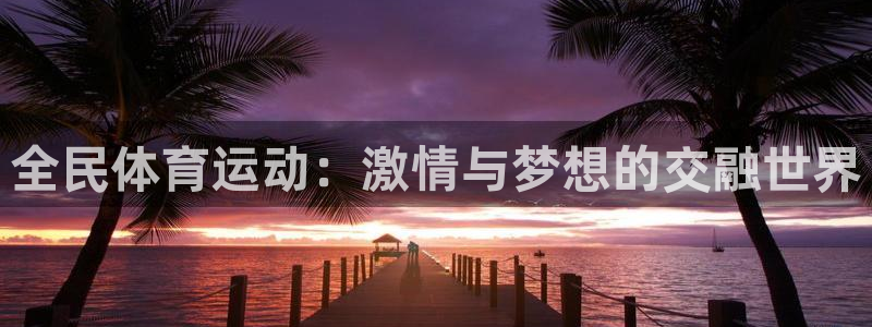 3377体育app官网下载地址：全民体育运动：激情与梦想的交融世界