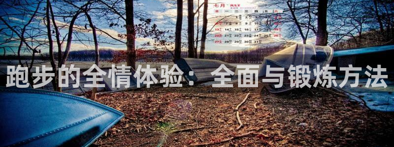 3377体育官方app下载：跑步的全情体验：全面与锻炼方法