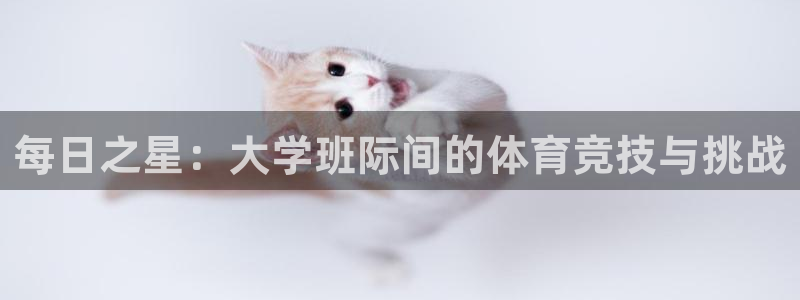 3377体育是正规的吗