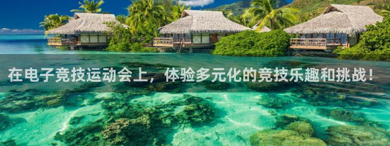 3377体育app官方下载