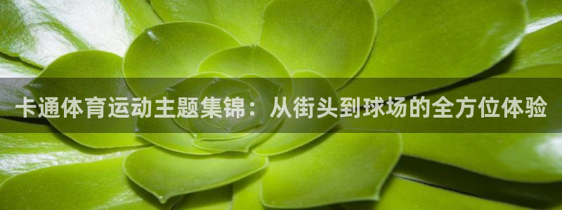 3377体育官网入口下载最新