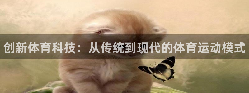 3377体育平台：创新体育科技：从传统到现代的体育运动模式