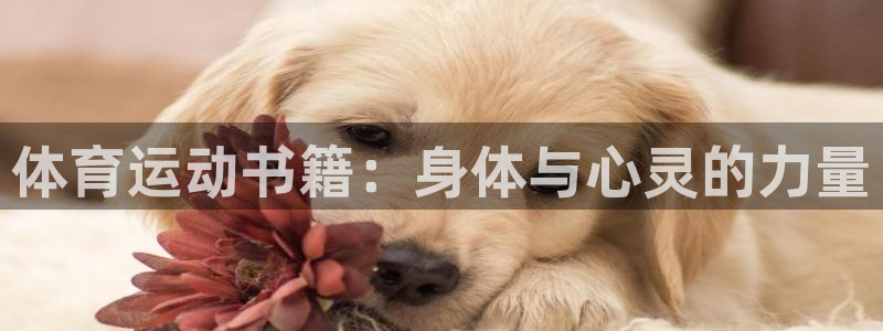 3377体育官网下载：体育运动书籍：身体与心灵的力量